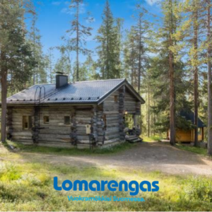 Ukkohermanni