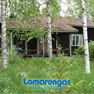 Saari