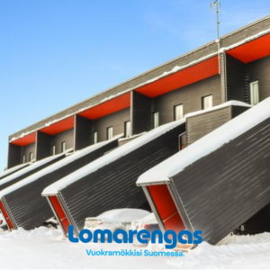 Skivillas 61 ukkohalla (b9)