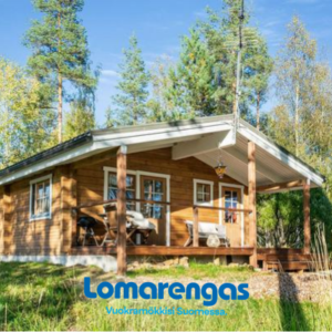 Niemenkärki, vaikon loma 8