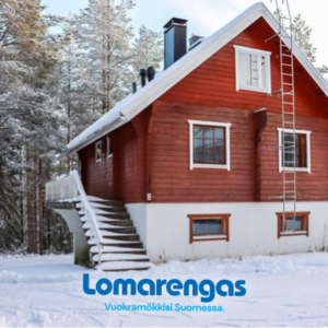 Alppikylä 8a paritalo