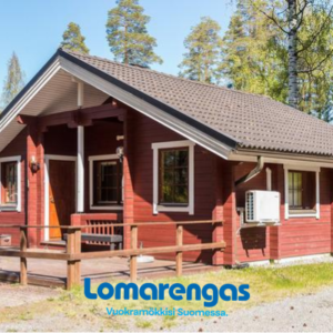 Lomasyväri 810