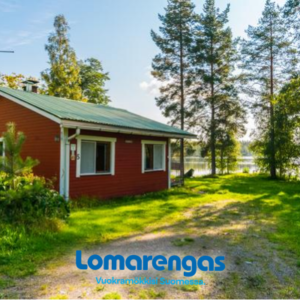 Saniainen 5