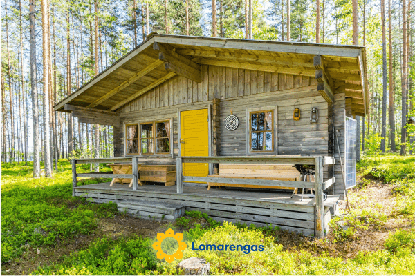 Salkosaari