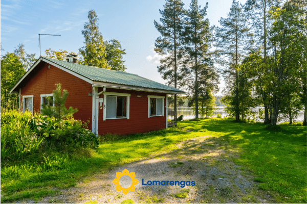 Saniainen 5