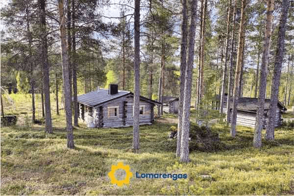 Lomapihlaja